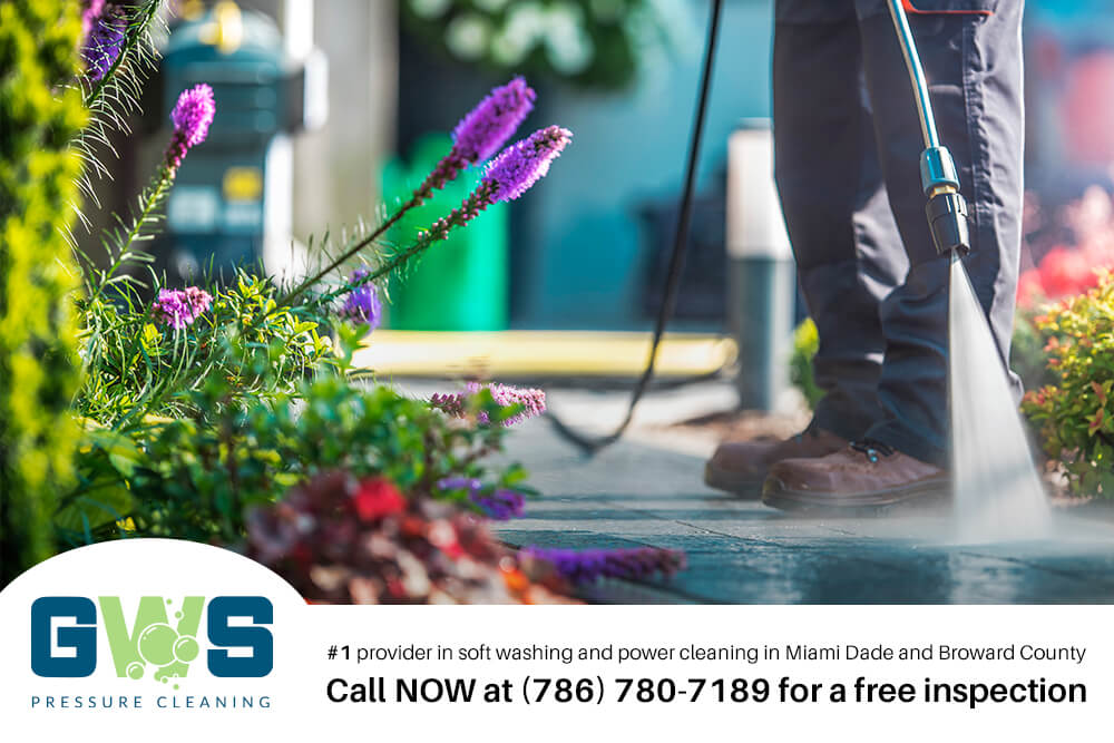 window cleaning doral