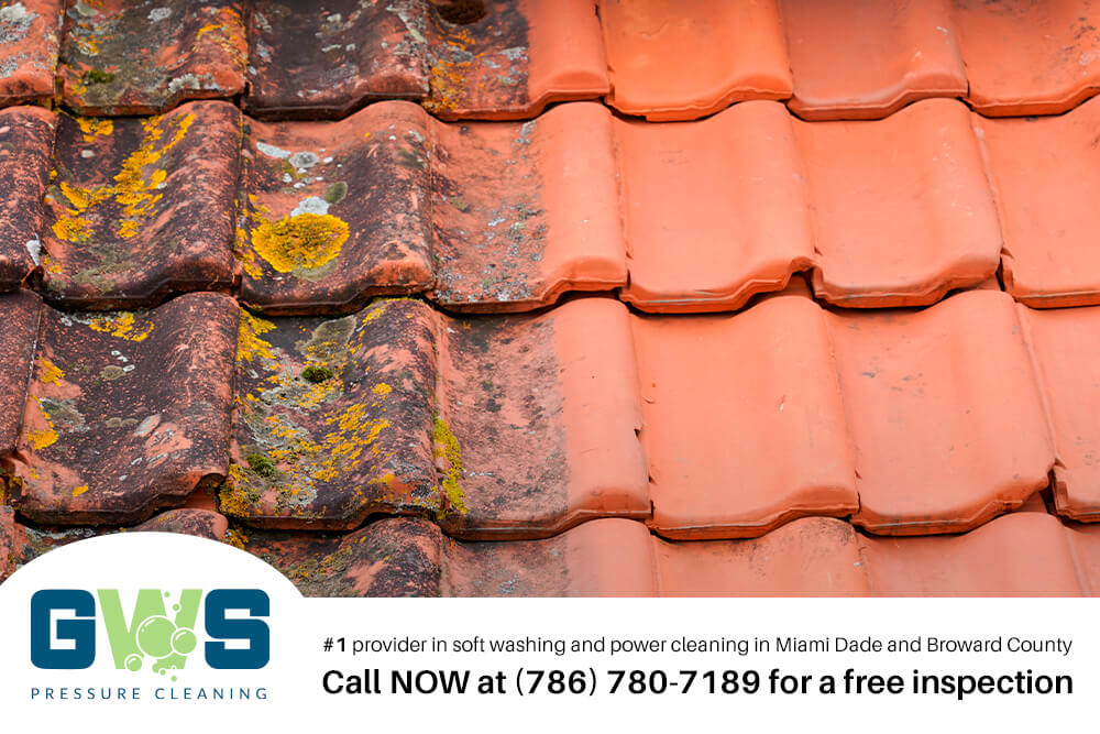 Commercial Roof Pressure Cleaning in Miami Beach