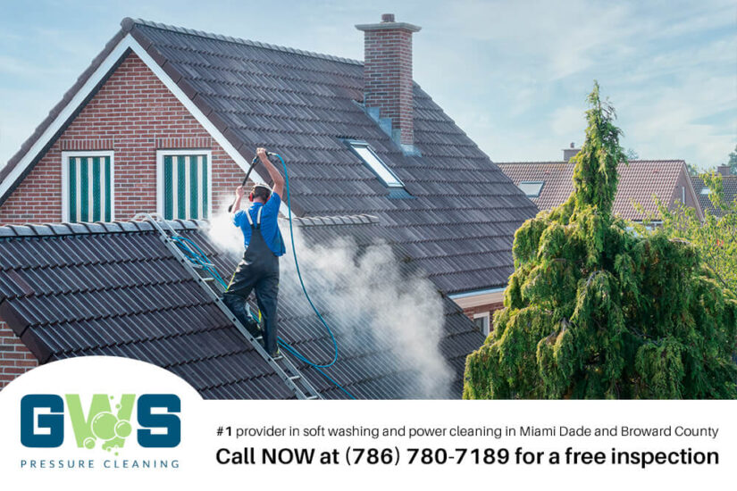 Image for Roof Cleaning Services post